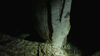 [Ronny] This almost looks like
this has been, like, - Expedition Bigfoot