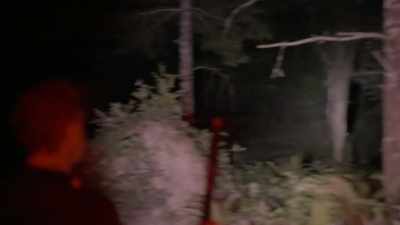 [Ronny whispering] Something
just landed right over here. - Expedition Bigfoot