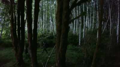 [Ronny] Yeah. And this is also
where that logger said - Expedition Bigfoot