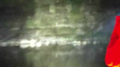 -[Ronny] Yeah. Right to left.
-[Mireya] from right to left. - Expedition Bigfoot
