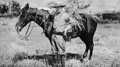 Roosevelt falls off his horse
into a patch of - The American Buffalo