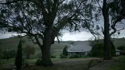 (rooster crowing in distance) - The Clearing