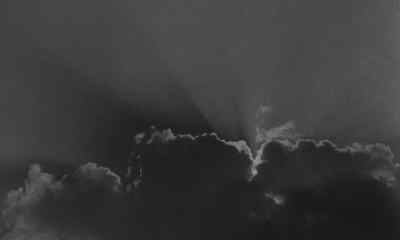 [ Rooster Crowing ] - The Night of the Hunter