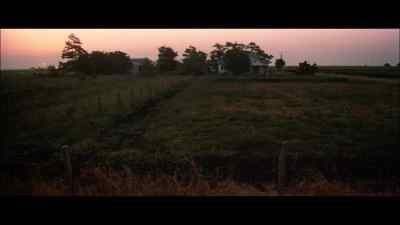 [ROOSTER CROWS] - Urban Cowboy