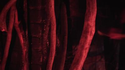 (Roots crackling, rustling) - Sleepy Hollow