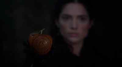 Rose brought it here,
this instrument of death, - Salem