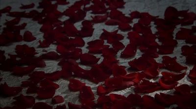 Rose petals. - Murdoch Mysteries