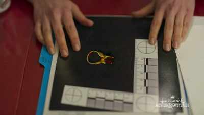 Rose was wearing her ruby ring - Ruby Herring Mysteries: Prediction Murder