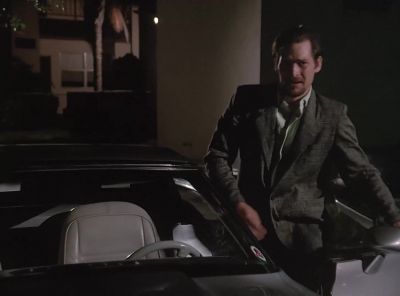 (Rosella)
I don't understand
why you brought me. - Miami Vice