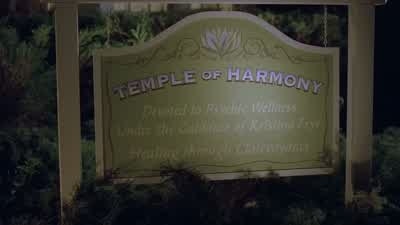 Rosemary, please don't go. - The Mentalist