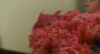 Roses for Lerner. - Bride Wars