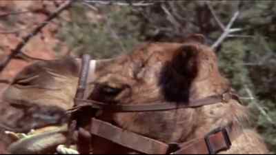 Rosie! Ho! - One Little Indian
