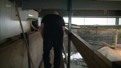 ROSS CHUCKLES - Britain's Tiger Kings - On the Trail with Ross Kemp