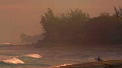 Ross Williams:
Growing up on the North Shore, - Momentum Generation