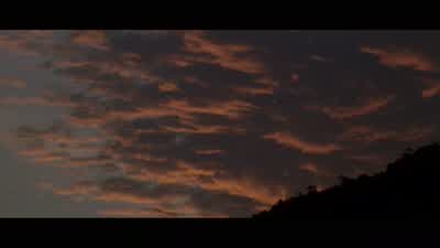 Rosy-fingered dawn. - The Thin Red Line