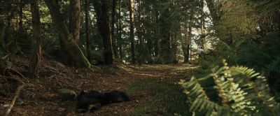 Rowan Honey Slow down - The Wicker Man