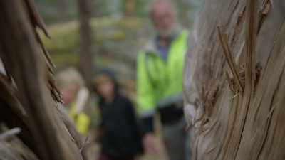 - Rowan: How old is it?
- Dirk: About 800 years old. - Trees and Other Entanglements