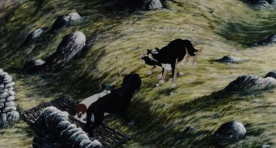 Rowf Come back - The Plague Dogs