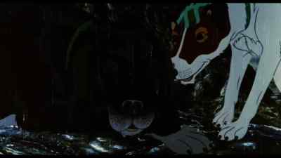 - Rowf! - The Plague Dogs