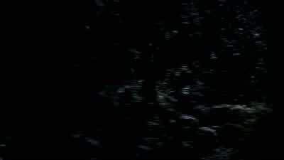 ROY: It's over here. - Supernatural