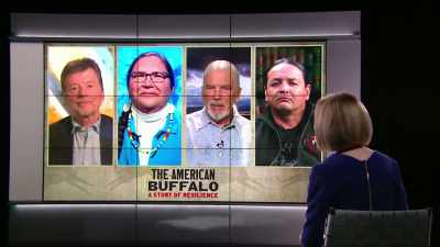 Roz, I want to ask you, - The American Buffalo