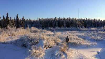 '’Cause if there'’s beavers here, - Life Below Zero: Next Generation