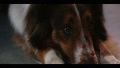 - Ruby, come on. No. Come on. - Rescued by Ruby