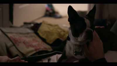 Ruff was here. Yo, Ruff, tell them. - American Vandal