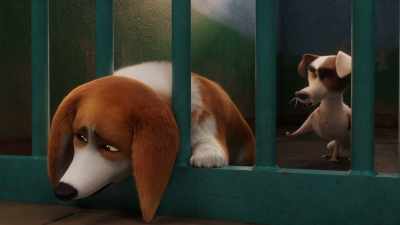 Rule five: all dogs, - The Queen's Corgi