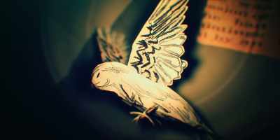 Rumor isBirdman was
caught mutilating birds. - Home Before Dark