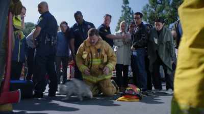 [ Rumpelstiltskin meows ] - Tacoma FD