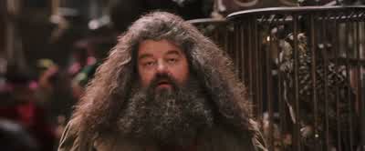Run along there and wait.I got one more thing to do. - Harry Potter and the Philosopher's Stone
