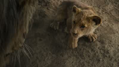 Run away and never return - The Lion King