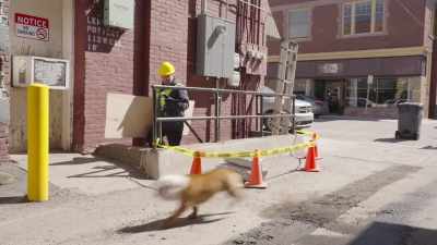 - Run, Flip Flop!
- I am running. - Powder Pup
