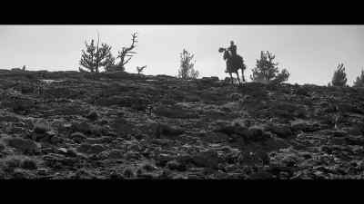 Run, you little devil! Run,
beauty! Run, sweetheart! - Lonely Are the Brave