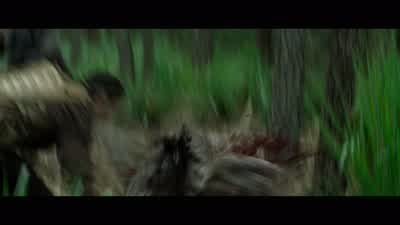 Run! Run! Come on! Climb! - Predators