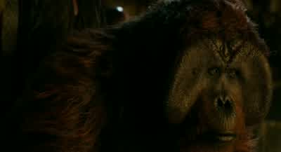 Run - Dawn of the Planet of the Apes