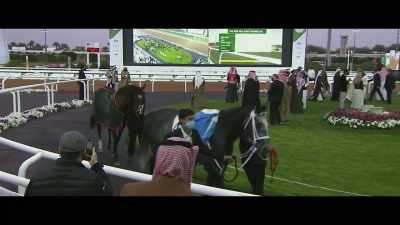 Runners in the paddock
for this Red Sea Turf Handicap, - Horsepower