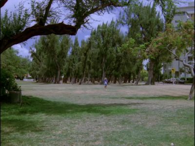 RUNNING'S NOT GONNA DO IT. - Hawaii Five-O