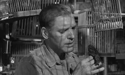 Runty! What the hell
are you doin' back here? - Birdman of Alcatraz