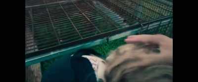 -[Russ] Put your head down.
-[Kris] Anything that you sign, - Monster Inside: America's Most Extreme Haunted House