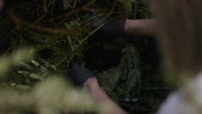 [Russel]  Russ for Mireya. - Expedition Bigfoot