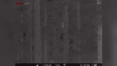[Russell]
 At first it looked like - Expedition Bigfoot