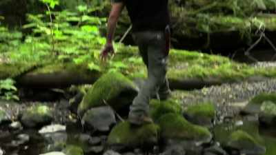 [Russell]  Hearing this
 tattletale bird downstream, - Expedition Bigfoot