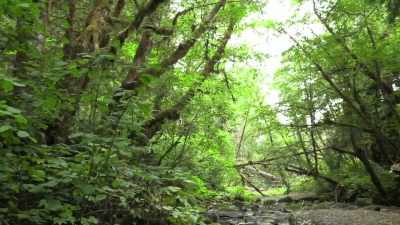 [Russell]  I'm methodically
 working my way downstream. - Expedition Bigfoot