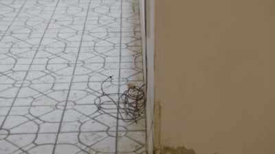 [Russell]
It's a little obnoxious. - Renovation Impossible