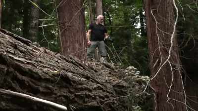 [Russell]  I've been trackin
 my whole life. - Expedition Bigfoot