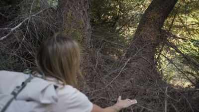 -[Russell] Okay.
-I'm looking at this - Expedition Bigfoot