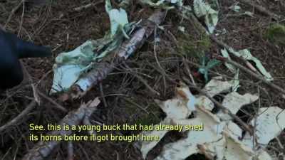[Russell speaking] - Expedition Bigfoot