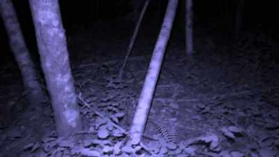 [Russell speaking] - Expedition Bigfoot